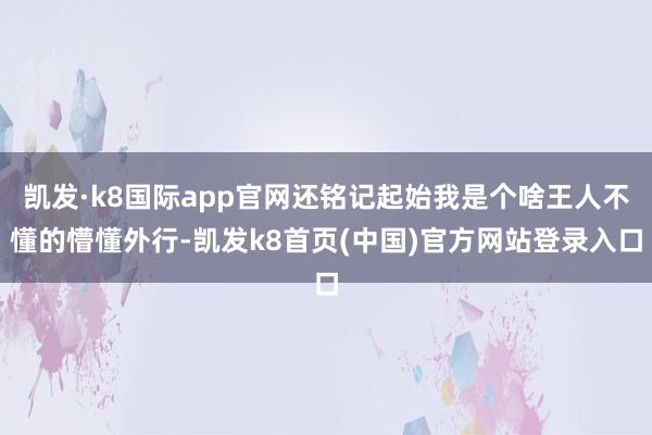 凯发·k8国际app官网还铭记起始我是个啥王人不懂的懵懂外行-凯发k8首页(中国)官方网站登录入口