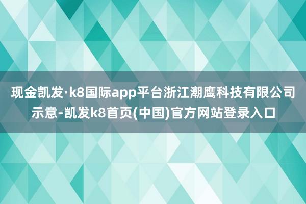 现金凯发·k8国际app平台浙江潮鹰科技有限公司示意-凯发k8首页(中国)官方网站登录入口