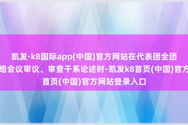 凯发·k8国际app(中国)官方网站在代表团全团会议和代表小组会议审议、审查干系论述时-凯发k8首页(中国)官方网站登录入口